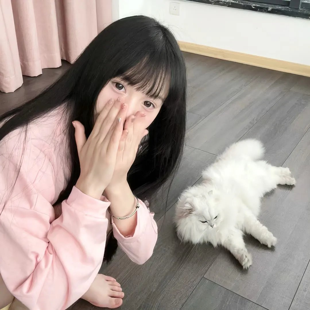 迷途之狼